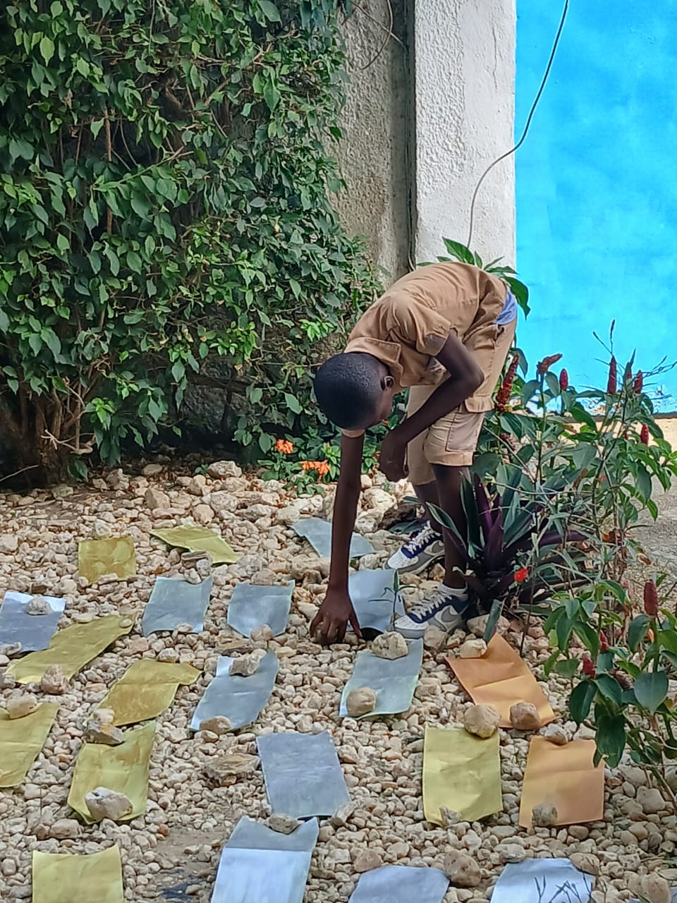 Photo 7 d'activité Freinet